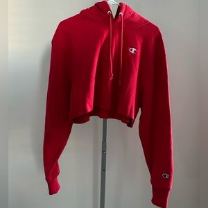 Champion hoodie